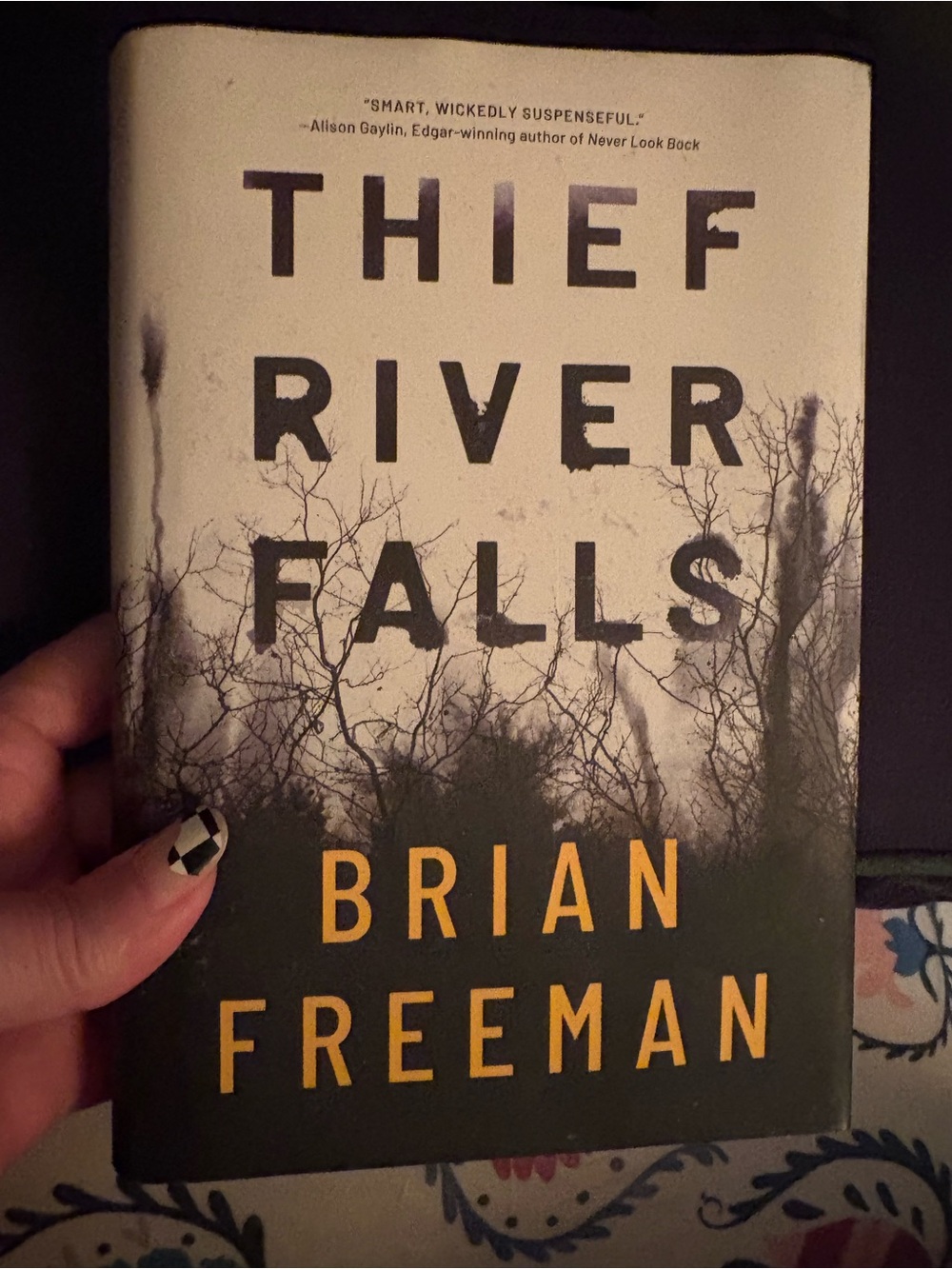 Brian Freeman mystery, great condition